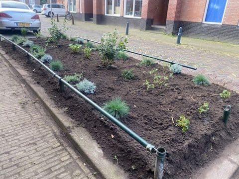 Adopteer groen