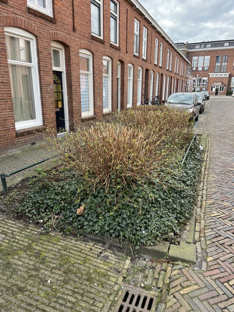 Adopteer groen